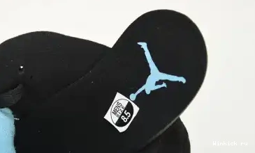 5 Aqua Jordan Air 0516